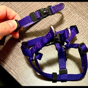 Jump brand Purple puppy collar and harness set xs